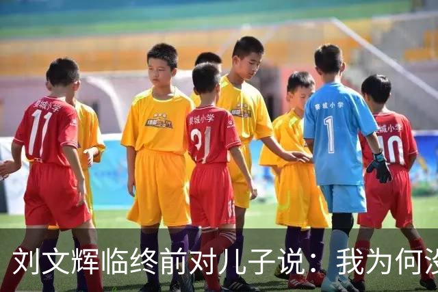 刘文辉临终前对儿子说：我为何没炸泸定桥？看13根铁索底下是什么