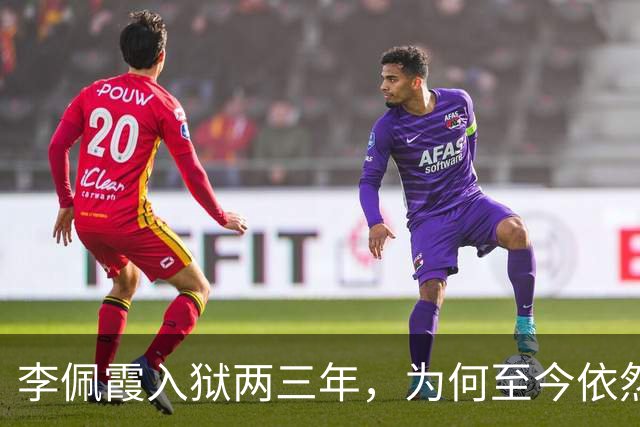 李佩霞入狱两三年，为何至今依然被炒作？