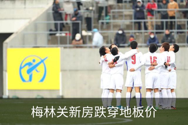 梅林关新房跌穿地板价