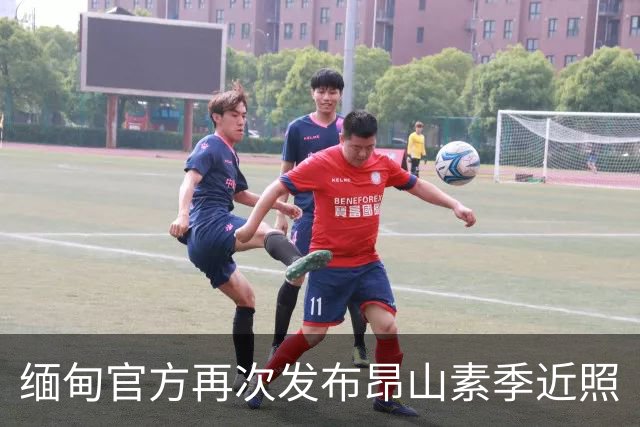 缅甸官方再次发布昂山素季近照