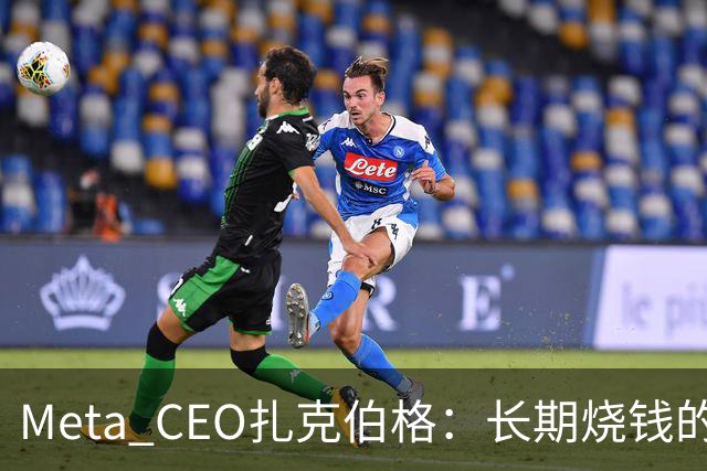 Meta CEO扎克伯格：长期烧钱的Muse和Reality Labs终于盈利在望